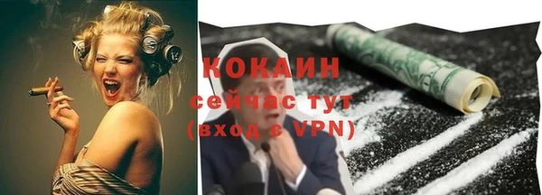PSILOCYBIN Баксан