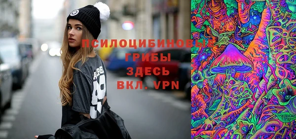 PSILOCYBIN Баксан