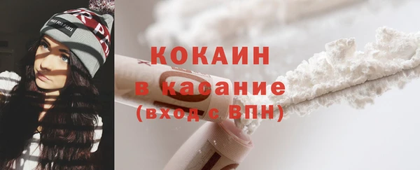 прущие грибы Балабаново
