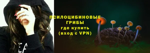 прущие грибы Балабаново