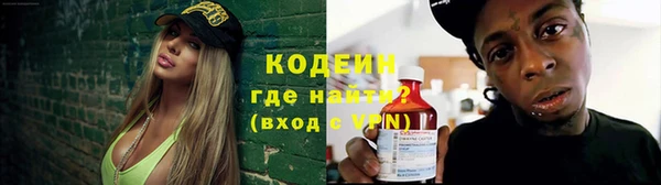 прущие грибы Балабаново