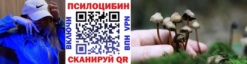 блэк спрут ССЫЛКА Белореченск Псилоцибиновые грибы Cubensis